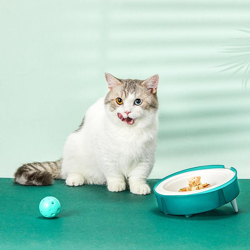 Stylish sustainable cat and dog bowls in teal with a playful cat beside them